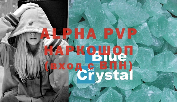 стафф Надым