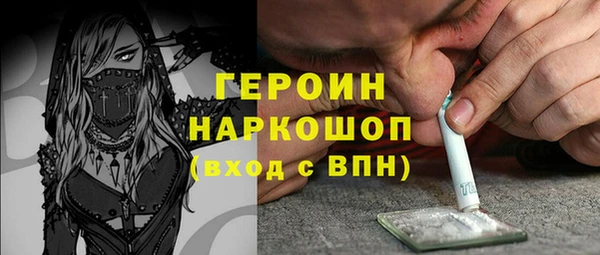 стаф Почеп
