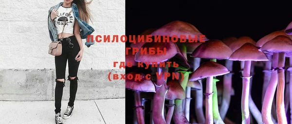 стафф Надым